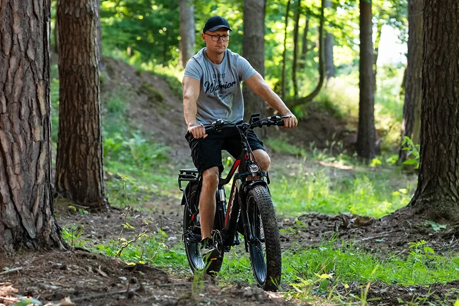 Ebike-Robin-4.webp