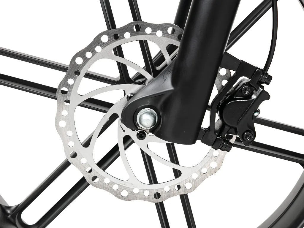 Brake disc jpg.webp