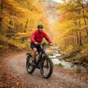 Jobobike-robin-3.webp