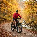 Jobobike-robin-3.webp